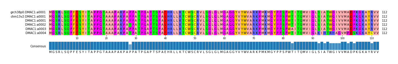 Multiple Alignments (by translate haplotype frequency)
