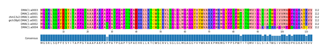Multiple Alignments (by translate haplotype similarity)