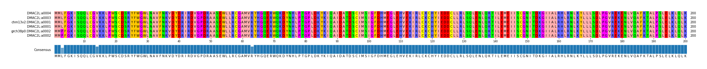 Multiple Alignments (by translate haplotype similarity)