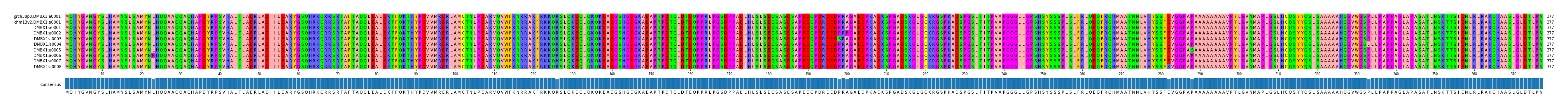 Multiple Alignments (by translate haplotype frequency)