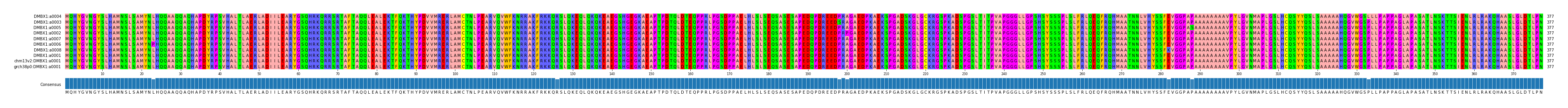 Multiple Alignments (by translate haplotype similarity)