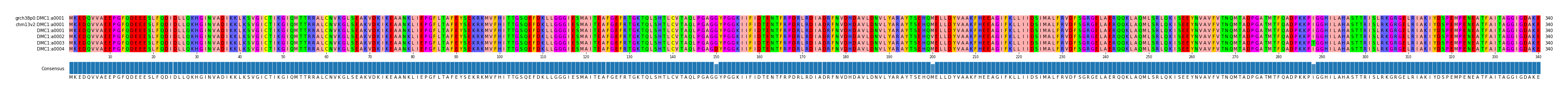 Multiple Alignments (by translate haplotype frequency)