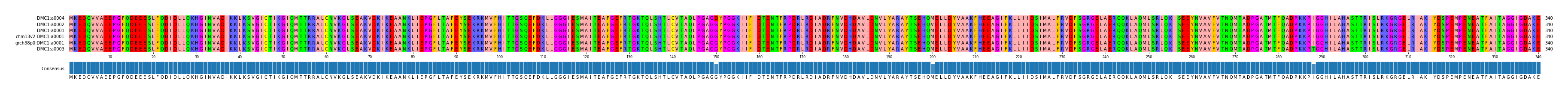 Multiple Alignments (by translate haplotype similarity)
