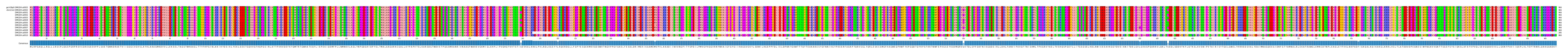 Multiple Alignments (by translate haplotype frequency)