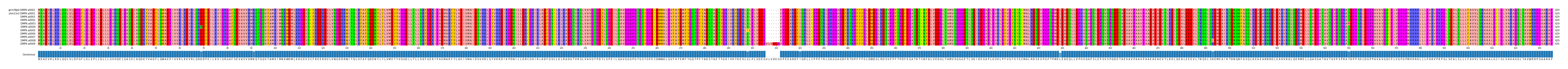 Multiple Alignments (by translate haplotype frequency)