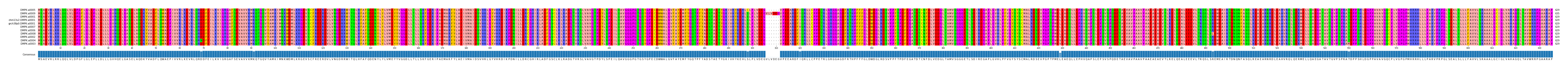 Multiple Alignments (by translate haplotype similarity)