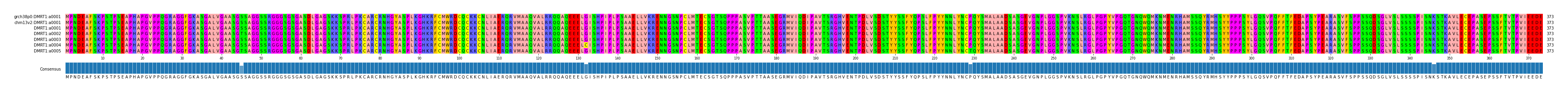 Multiple Alignments (by translate haplotype frequency)