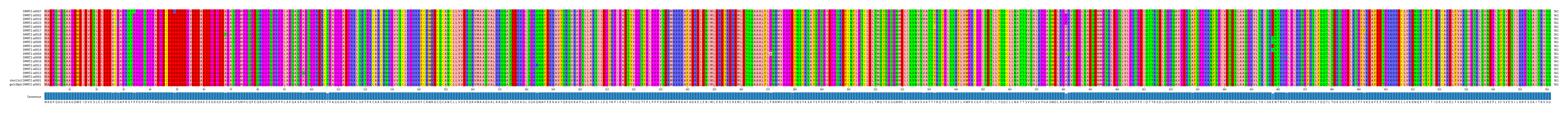 Multiple Alignments (by translate haplotype similarity)