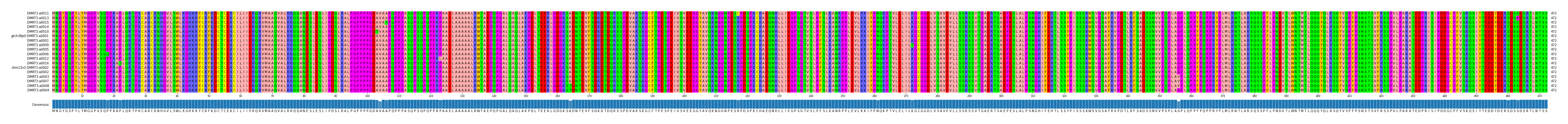 Multiple Alignments (by translate haplotype similarity)