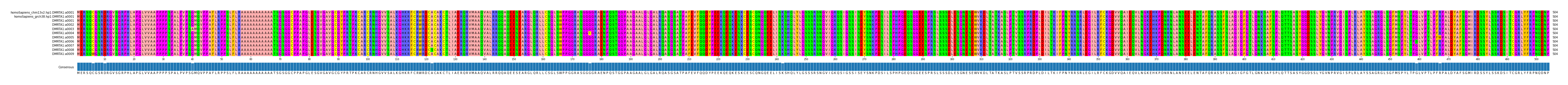 Multiple Alignments (by translate haplotype frequency)