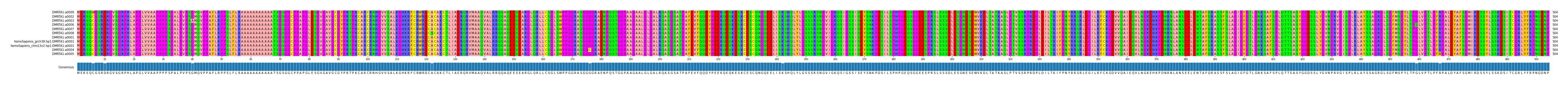 Multiple Alignments (by translate haplotype similarity)
