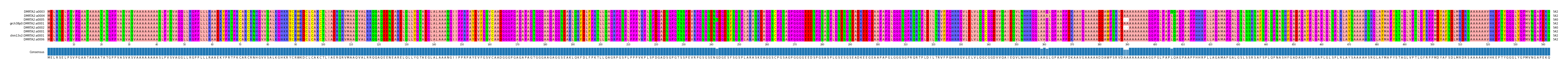 Multiple Alignments (by translate haplotype similarity)