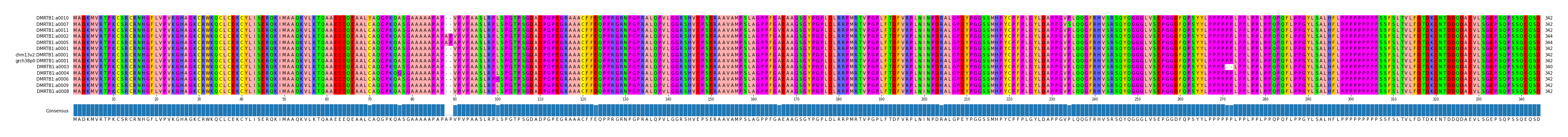 Multiple Alignments (by translate haplotype similarity)