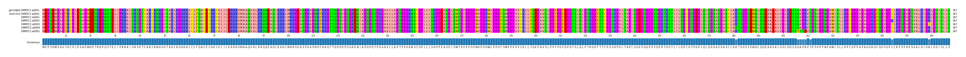 Multiple Alignments (by translate haplotype frequency)