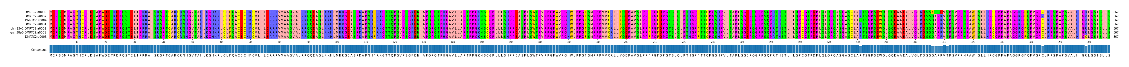Multiple Alignments (by translate haplotype similarity)