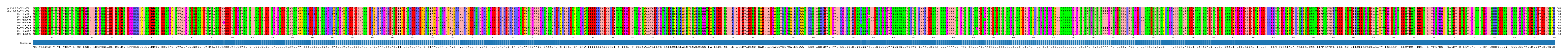 Multiple Alignments (by translate haplotype frequency)