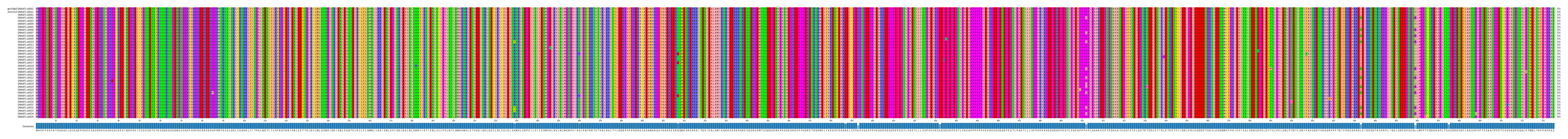 Multiple Alignments (by translate haplotype frequency)