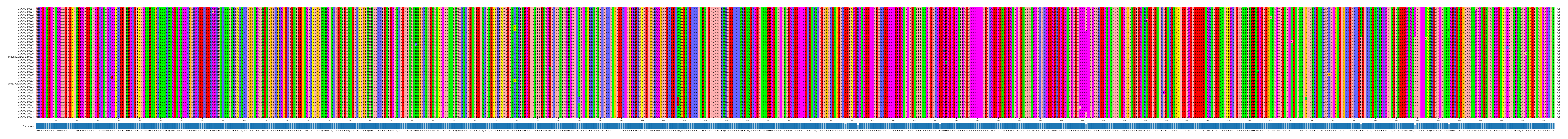 Multiple Alignments (by translate haplotype similarity)