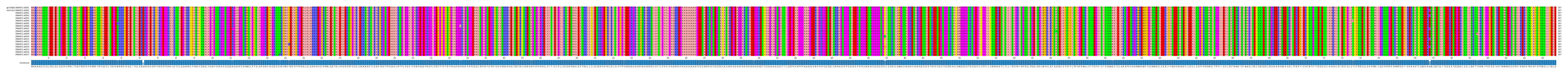 Multiple Alignments (by translate haplotype frequency)