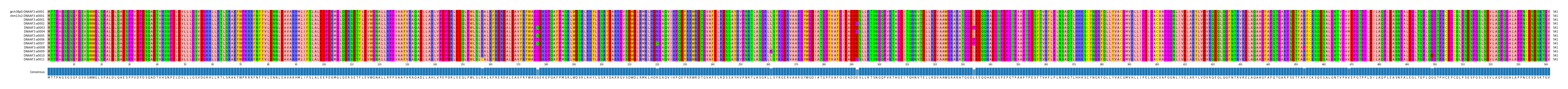 Multiple Alignments (by translate haplotype frequency)