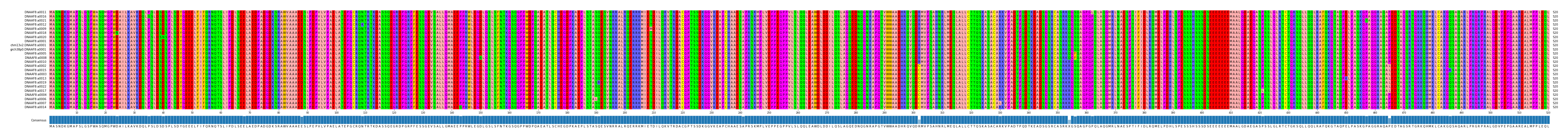 Multiple Alignments (by translate haplotype similarity)