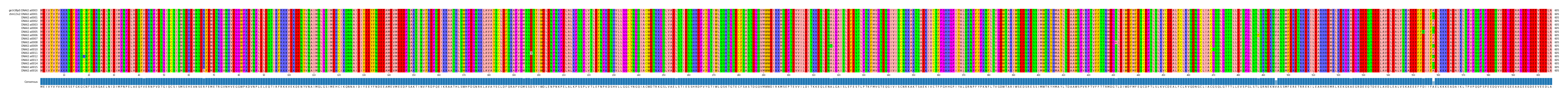 Multiple Alignments (by translate haplotype frequency)