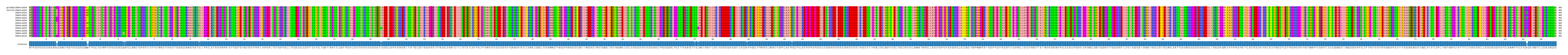 Multiple Alignments (by translate haplotype frequency)