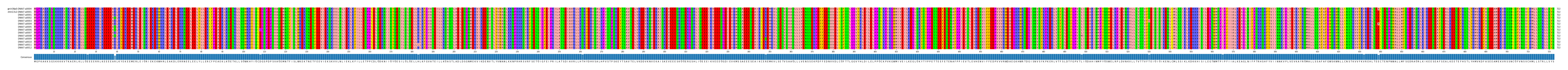 Multiple Alignments (by translate haplotype frequency)