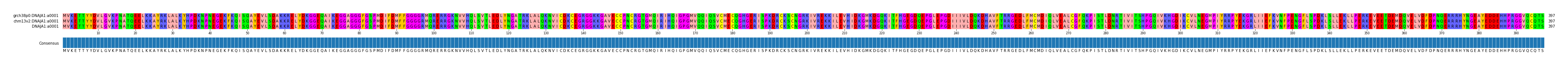 Multiple Alignments (by translate haplotype similarity)