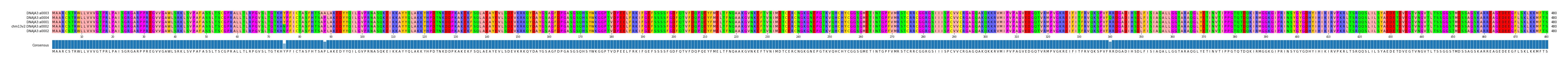 Multiple Alignments (by translate haplotype similarity)