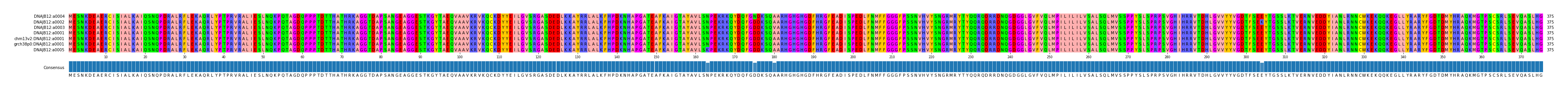 Multiple Alignments (by translate haplotype similarity)