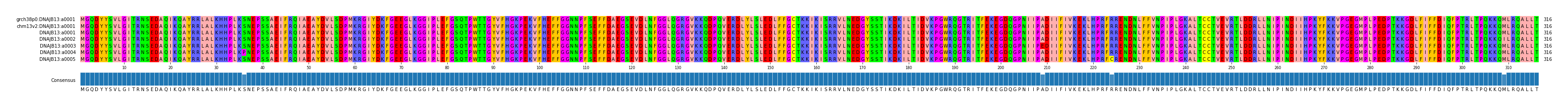 Multiple Alignments (by translate haplotype frequency)