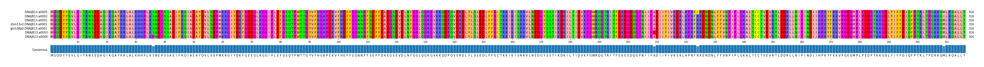 Multiple Alignments (by translate haplotype similarity)