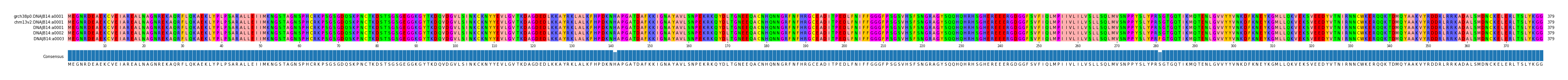 Multiple Alignments (by translate haplotype frequency)