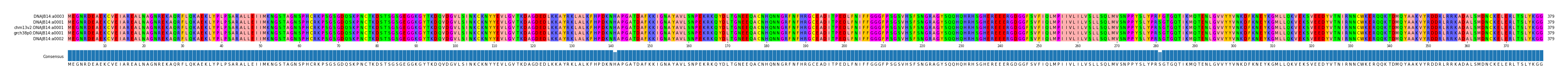 Multiple Alignments (by translate haplotype similarity)