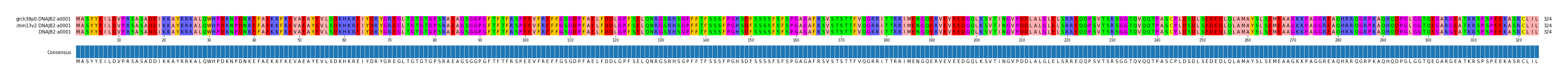 Multiple Alignments (by translate haplotype similarity)