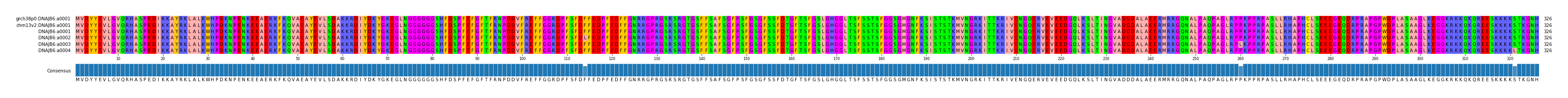 Multiple Alignments (by translate haplotype frequency)