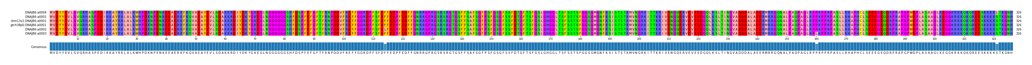 Multiple Alignments (by translate haplotype similarity)