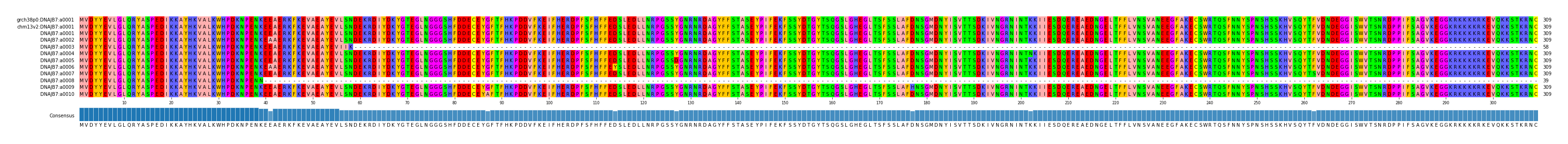 Multiple Alignments (by translate haplotype frequency)