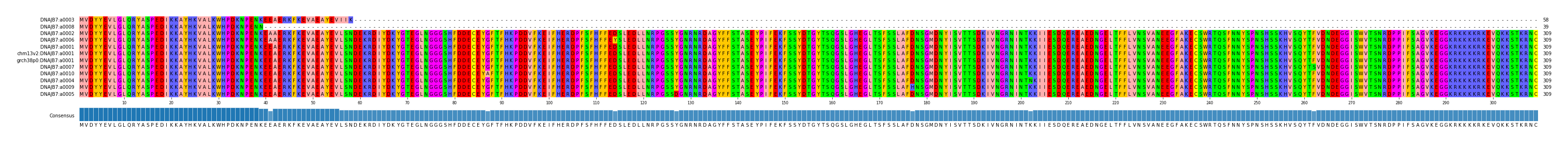 Multiple Alignments (by translate haplotype similarity)