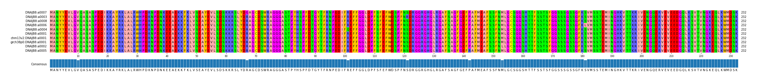 Multiple Alignments (by translate haplotype similarity)
