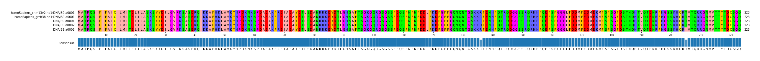 Multiple Alignments (by translate haplotype frequency)