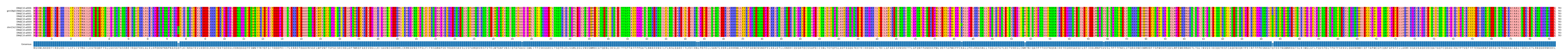 Multiple Alignments (by translate haplotype similarity)
