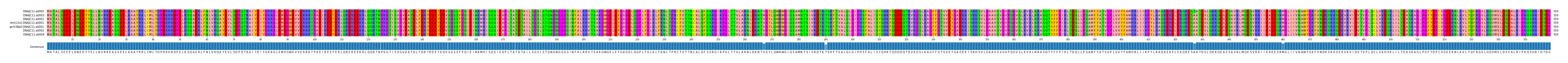Multiple Alignments (by translate haplotype similarity)