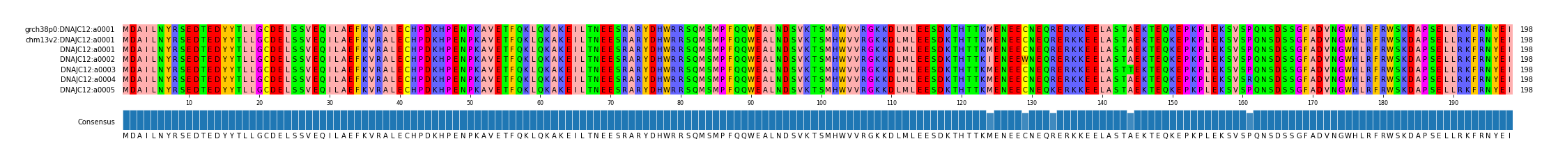 Multiple Alignments (by translate haplotype frequency)