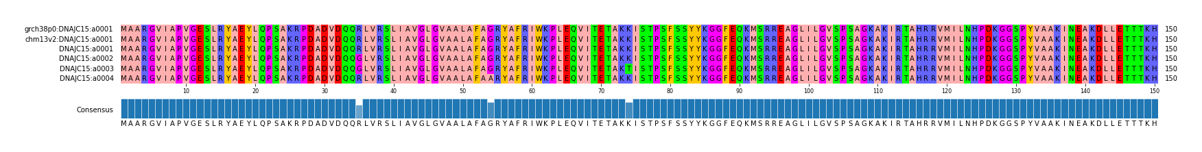 Multiple Alignments (by translate haplotype frequency)
