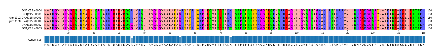 Multiple Alignments (by translate haplotype similarity)