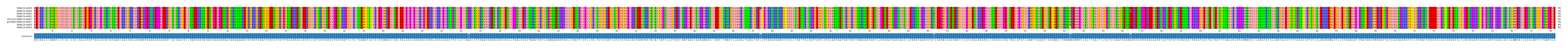 Multiple Alignments (by translate haplotype similarity)