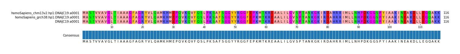 Multiple Alignments (by translate haplotype similarity)