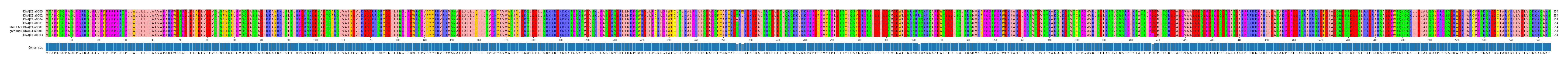 Multiple Alignments (by translate haplotype similarity)